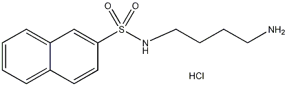 N-(4-氨基丁基)-2-萘磺酰盐酸盐结构式