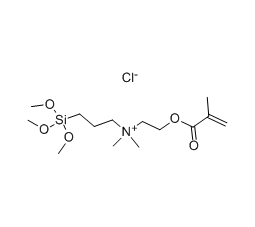 2-Dimethylaminoethylmethacrylate propyltrimethoxysilane chloride