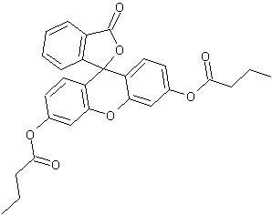 荧光素二丁酸酯结构式