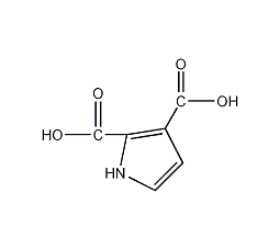 1H-吡咯-2,3-二羧酸结构式
