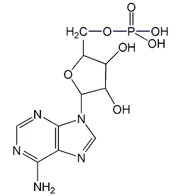 Adenosine-5'-monophosphate