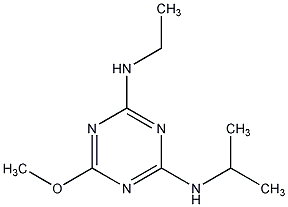 Atraton