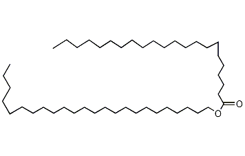 山萮酸二十四烷酯结构式
