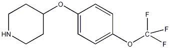 4-[4-(Trifluoromethoxy)phenoxy]piperidine