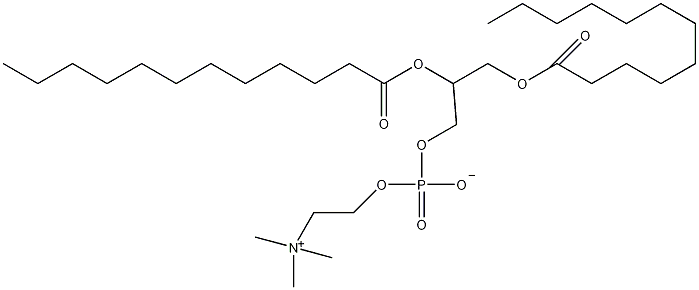 1,2-二十二酰基-sn-glycero-3-胆碱磷酸结构式