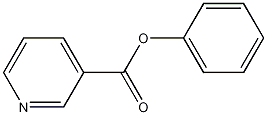 烟酸苯酯结构式