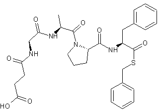 Carboxypeptidase B