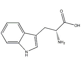 D-色氨酸结构式