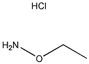 o-Ethylhydroxylammonium Chloride