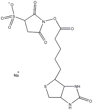 磺基琥珀生物素结构式
