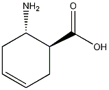 trans-2-Amino-4-cyclohexene-1-carboxylic acid