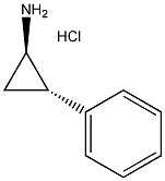 Trans-2-phenylcyclopropylamine hydrochloride