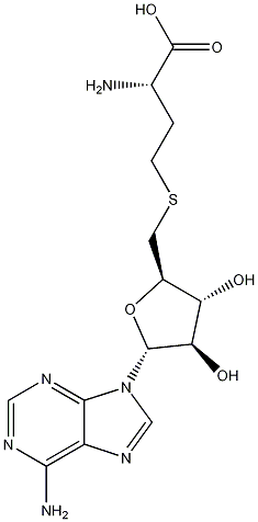 S-腺苷-L-高半胱氨酸结构式