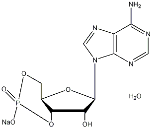 腺苷-3',5'-环状磷酸钠结构式