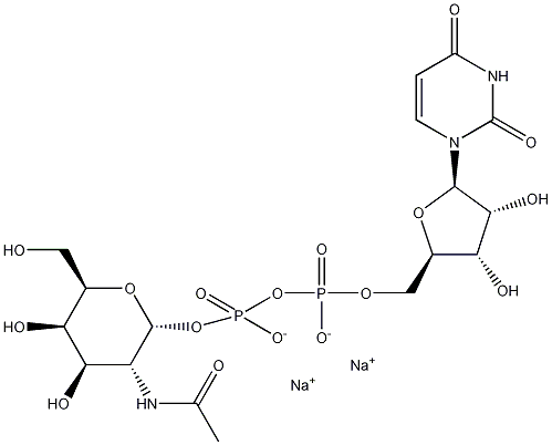 Uridine 5'-diphospho-N-acetylgalactosamine disodium salt