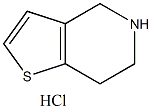 4,5,6,7-四氢噻吩[3,2-c]吡啶盐酸盐结构式