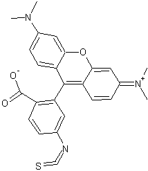 四甲基罗丹明-6-异硫氰酸酯结构式