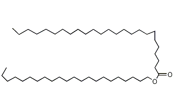 二十五(烷)酸二十二烷酯结构式