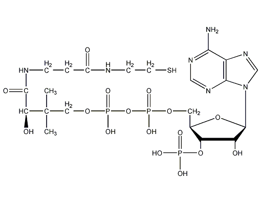 辅酶A结构式
