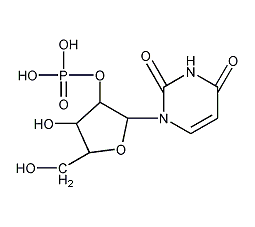 尿苷2'-磷酸结构式