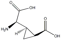 (2S,3R,4S)-α-(Carboxycyclopropyl)glycine