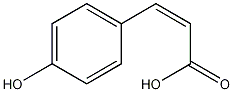 (Z)-p-Coumaric Acid