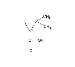 (S)-(+)-2,2-Dimethylcyclopropanecarboxylic Acid