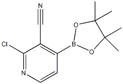 2-氯-3-氰基-4-(4,4,5,5-四甲基-[1,3,2]二氧硼戊环-2-基)吡啶结构式