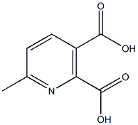 6-甲基吡啶-2,3-二羧酸结构式