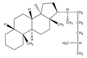 5β-胆甾烷结构式