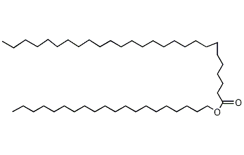 Eicosanyl heptacosanoate