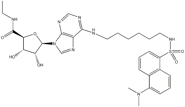 1-Deoxy-1-[6-[[6-[[[5-(dimethylamino)-1-naphthalenyl]sulfonyl]amino]hexyl]amino]-9H-purin-9-yl]-N-ethyl-β-D-ribofuranuronamide