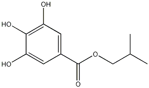 异丁酸酯结构式