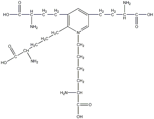 异赖氨酸结构式