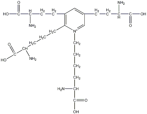 Isodesmosine