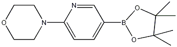 1-[5-(4,4,5,5-四甲基-1,3,2-二杂氧戊硼烷-2-基)哌啶-2-基]吗啉结构式