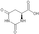 二氢-L-乳清酸结构式