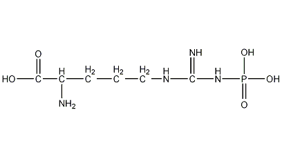 Phospho-L-arginine trisodium salt