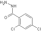 2,4-二氯苯酰肼结构式