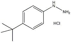 1-(4-叔丁基苯)肼盐酸盐结构式