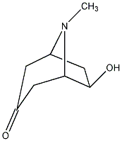 6-羟基-8-甲基-8-氮杂双环辛烷-3-酮结构式