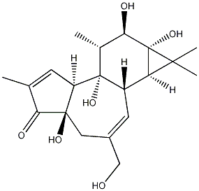 PHORBOL结构式