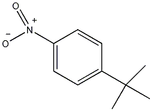 1-叔丁基-4-硝基苯结构式