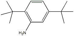 2,5-二叔丁基苯胺结构式