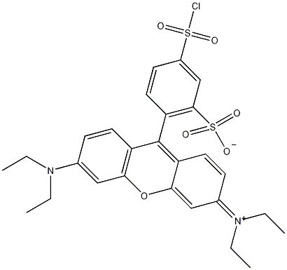 丽丝胺碱性蕊香红B磺酰氯结构式