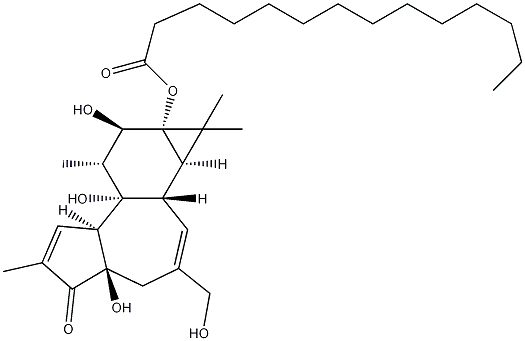 Phorbol 13-myristate