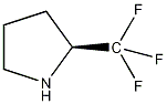 (S)-2-(Trifluoromethyl)pyrrolidine