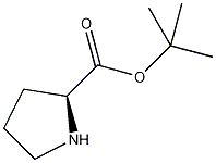 L-Proline t-butyl ester