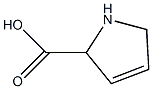 3,4-脱氢-DL-脯氨酸结构式