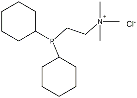 [2-(双环己基膦基)乙基]三甲基三甲基氯化铵结构式